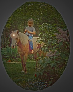 Fairy Horses vintage (2)