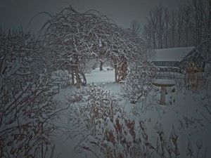 First Snow (9)