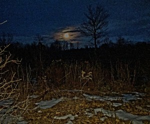 Long Cold Moon Dec 5 2014 (2)