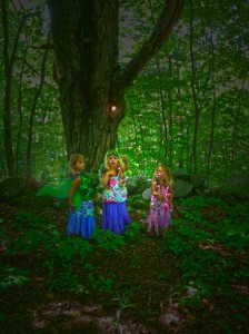 The Fairy seekers seekers (1)