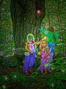 The Fairy seekers seekers (3)