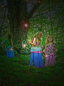 The Fairy seekers seekers (5)