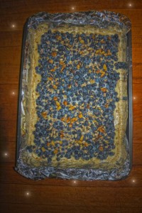 blueberry filling