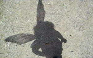 Fairy Shadow