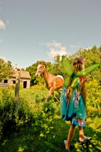 The Enchanted Horse 