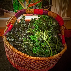Kale and Chard 