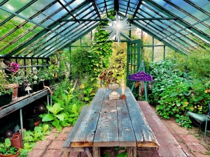 Fairy Greenhouse