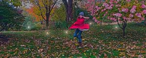 autumn dancer
